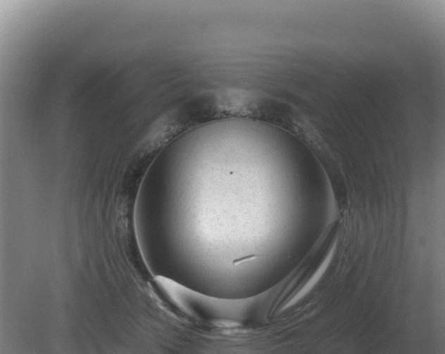 X0000081450466200701191718