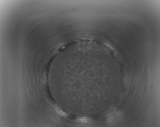 X0000081450467200701191718