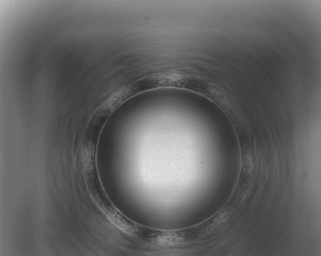 X0000081450468200701191718