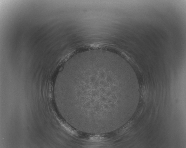 X0000081450470200701191718