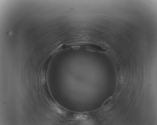 X0000081450471200701191718