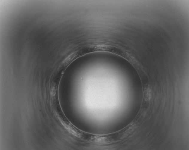 X0000081450472200701191718