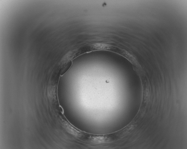 X0000081450473200701191718