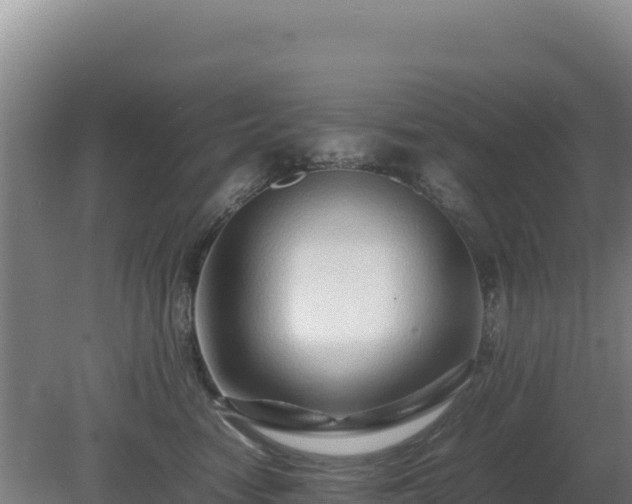 X0000081450474200701191718