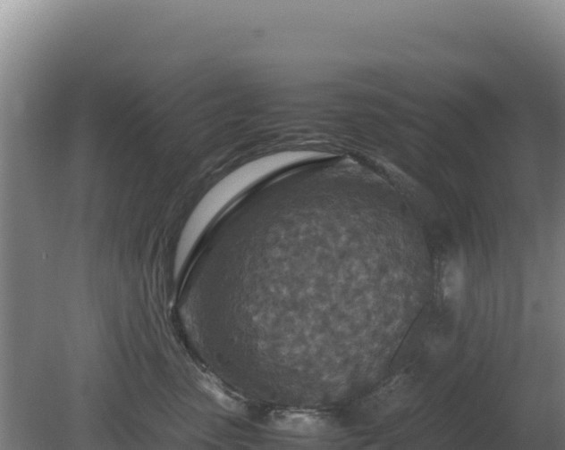 X0000081450475200701191718