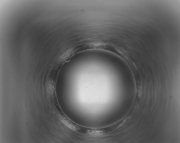 X0000081450476200701191718