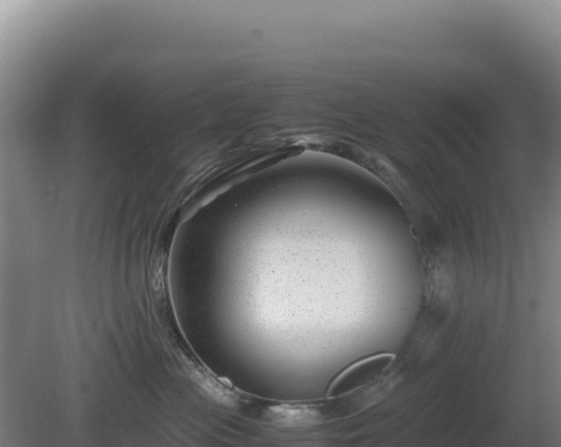 X0000081450477200701191718