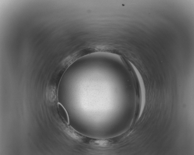 X0000081450478200701191718