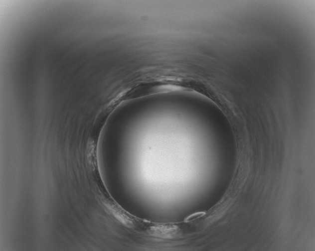 X0000081450480200701191719