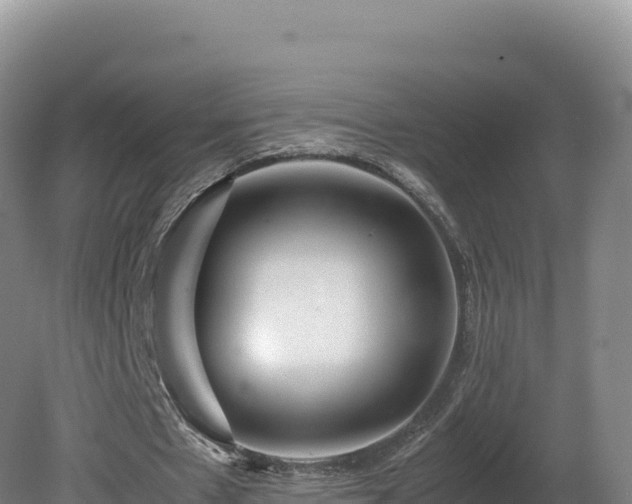 X0000081450481200701191718