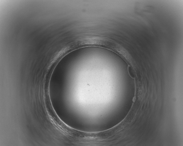 X0000081450482200701191718