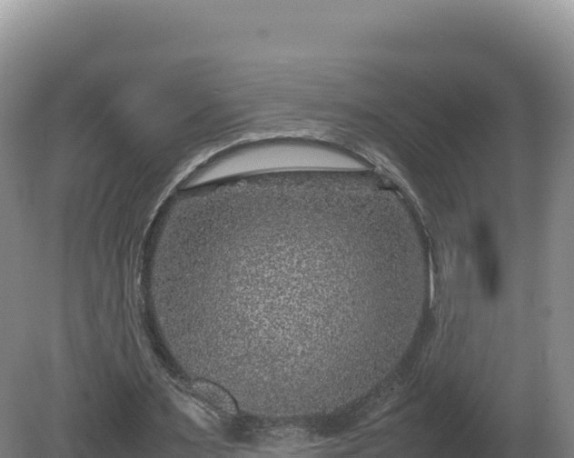 X0000081450483200701191718