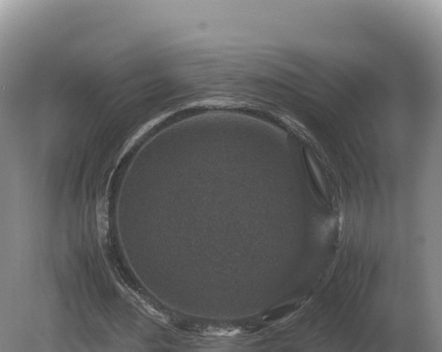 X0000081450484200701191718