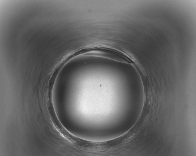 X0000081450485200701191718