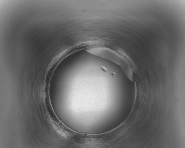 X0000081450486200701191718