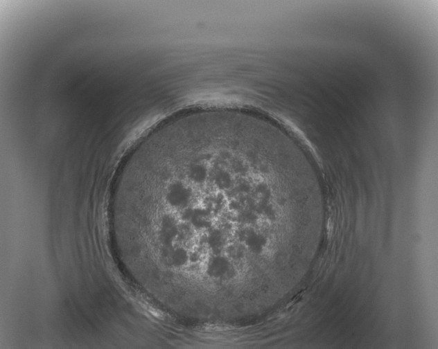 X0000081450487200701191718