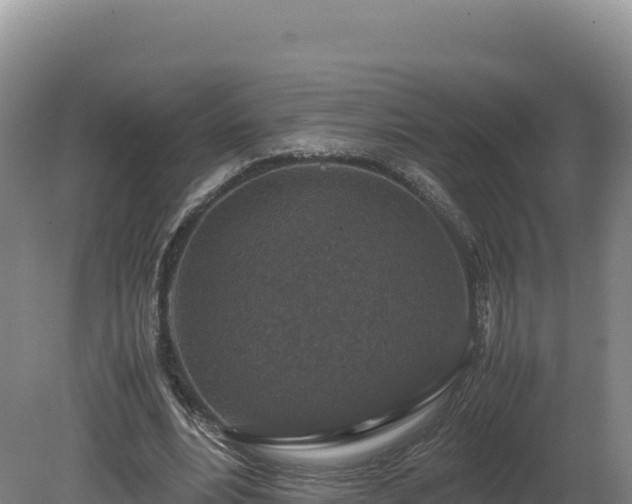 X0000081450488200701191718