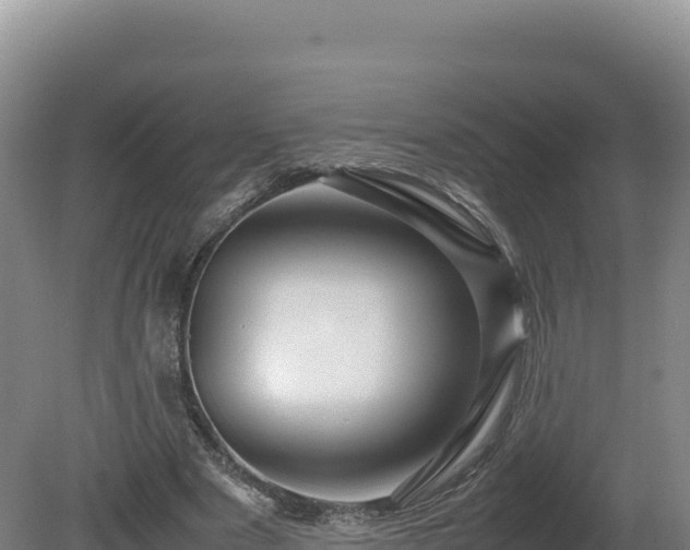 X0000081450489200701191718