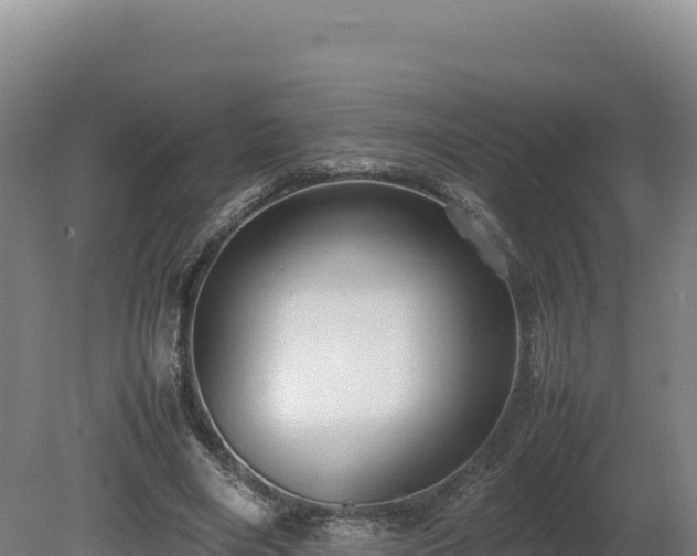 X0000081450490200701191718