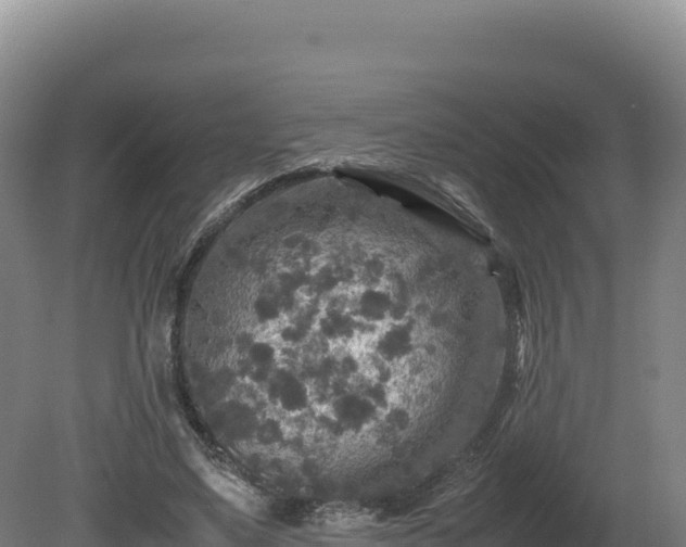 X0000081450491200701191718