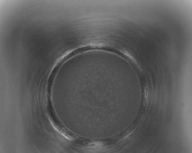 X0000081450492200701191718