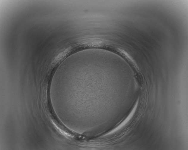 X0000081450493200701191717