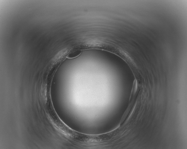 X0000081450494200701191717