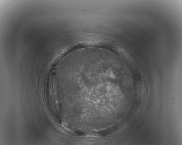 X0000081450495200701191717