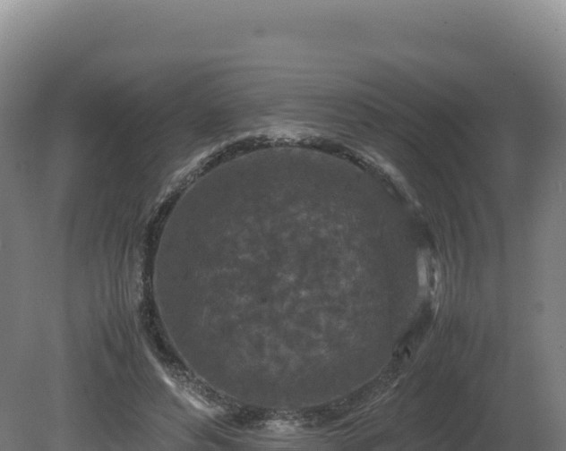 X0000081450496200701191717