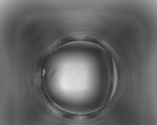 X0000081450497200701191717