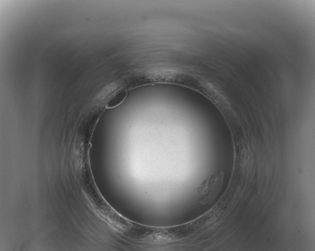 X0000081450498200701191717