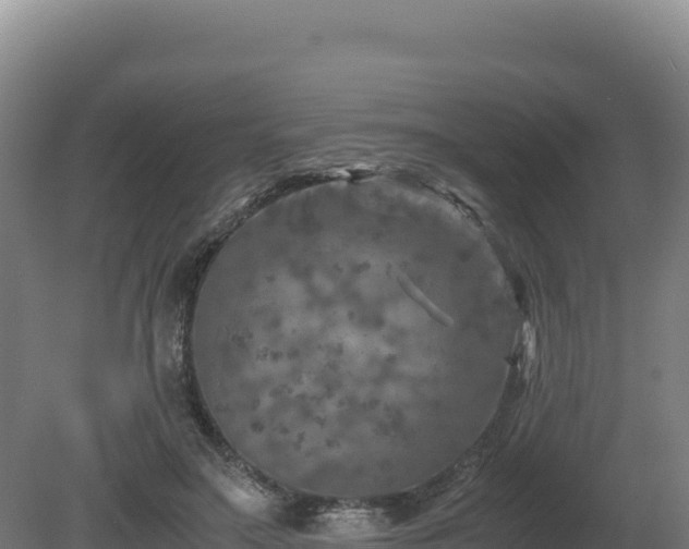 X0000081450499200701191717