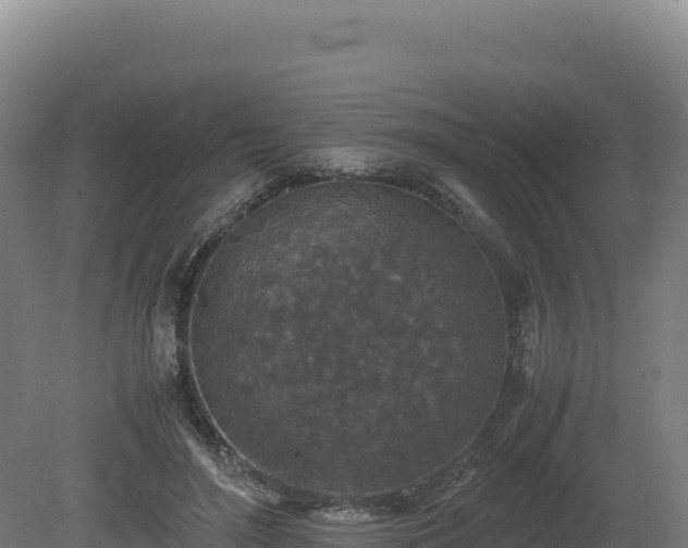 X0000081450500200701191717