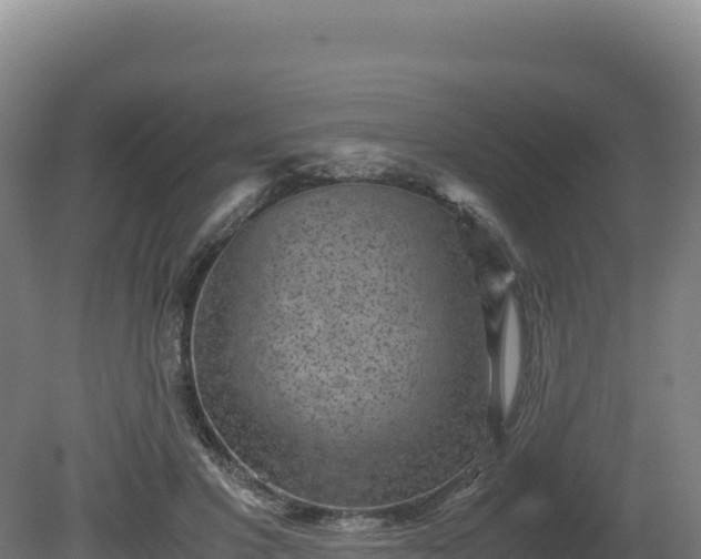 X0000081450501200701191717