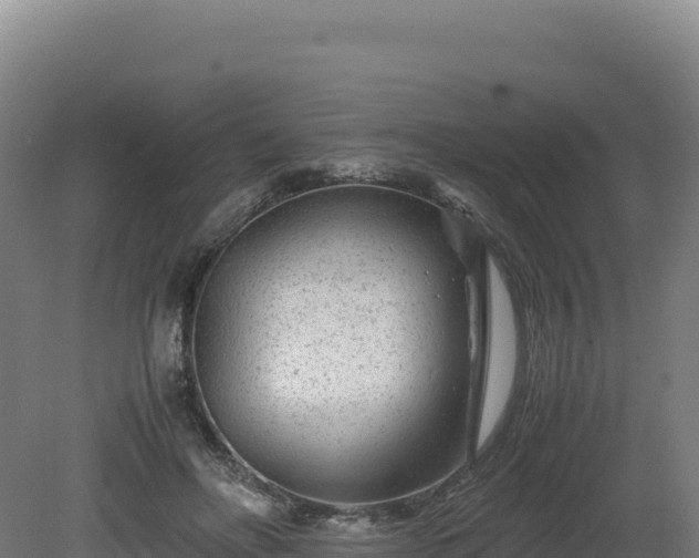 X0000081450502200701191717