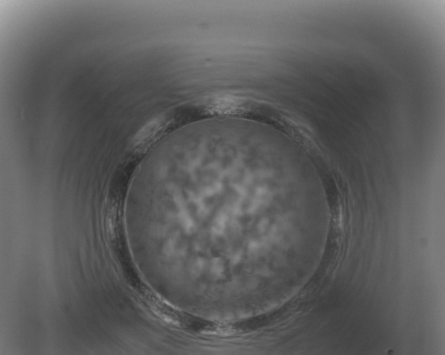 X0000081450503200701191717