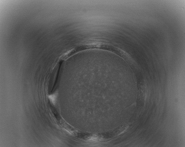 X0000081450504200701191717