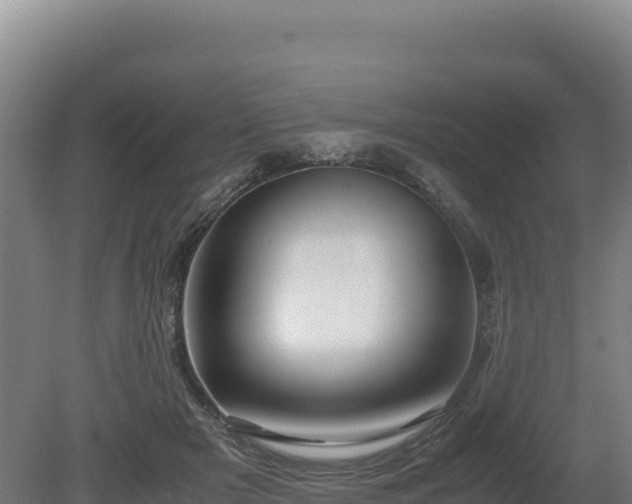 X0000081450505200701191717