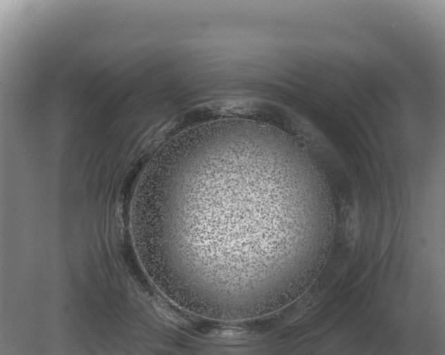 X0000081450506200701191717