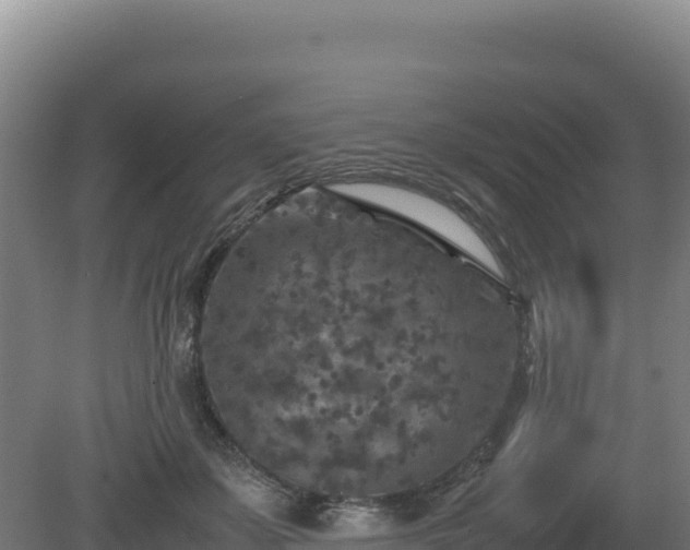 X0000081450507200701191717