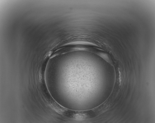 X0000081450508200701191717