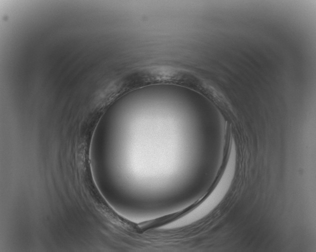 X0000081450509200701191717