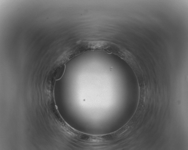 X0000081450510200701191717