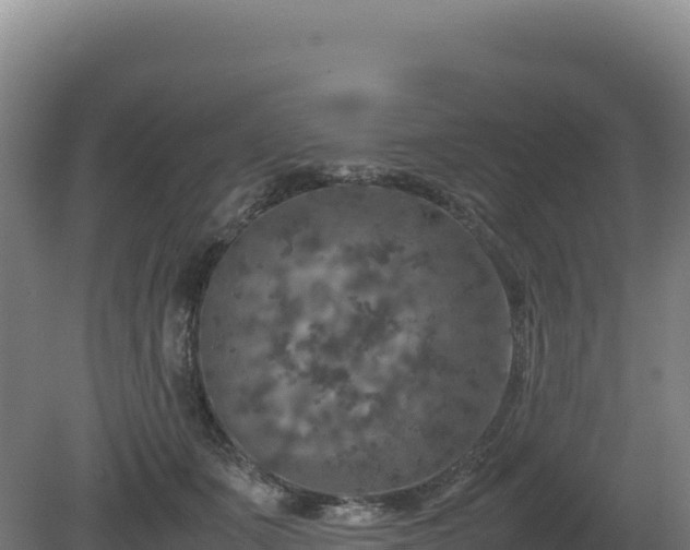 X0000081450511200701191717