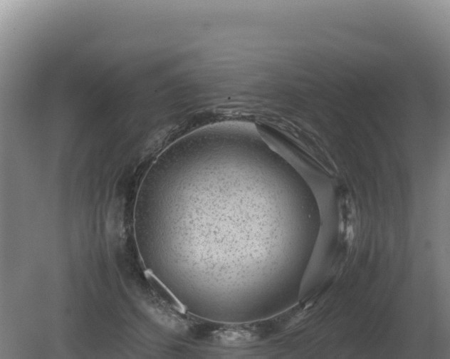 X0000081450512200701191717