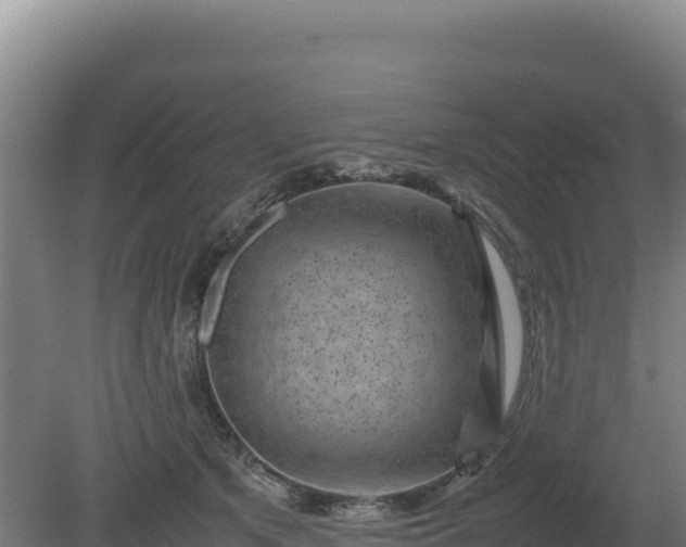 X0000081450513200701191717