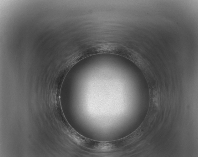 X0000081450514200701191717