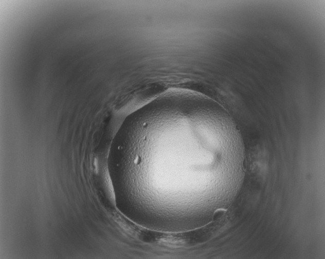 X0000081450515200701191717