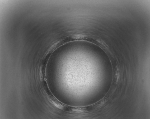 X0000081450516200701191717