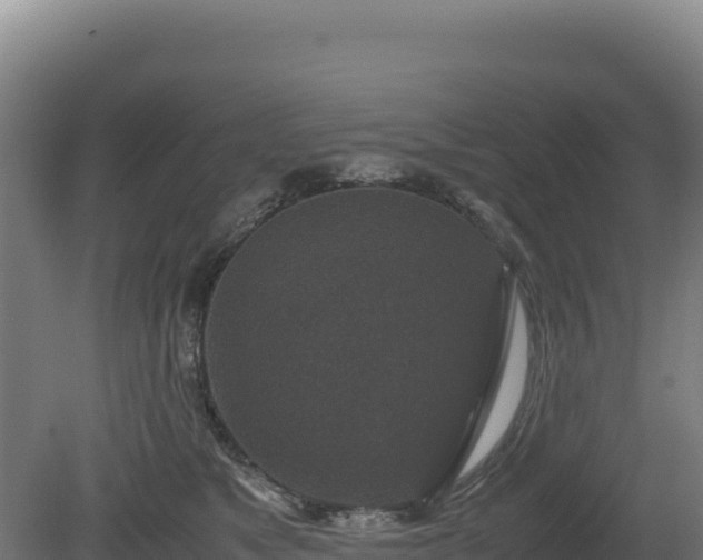 X0000081450517200701191717